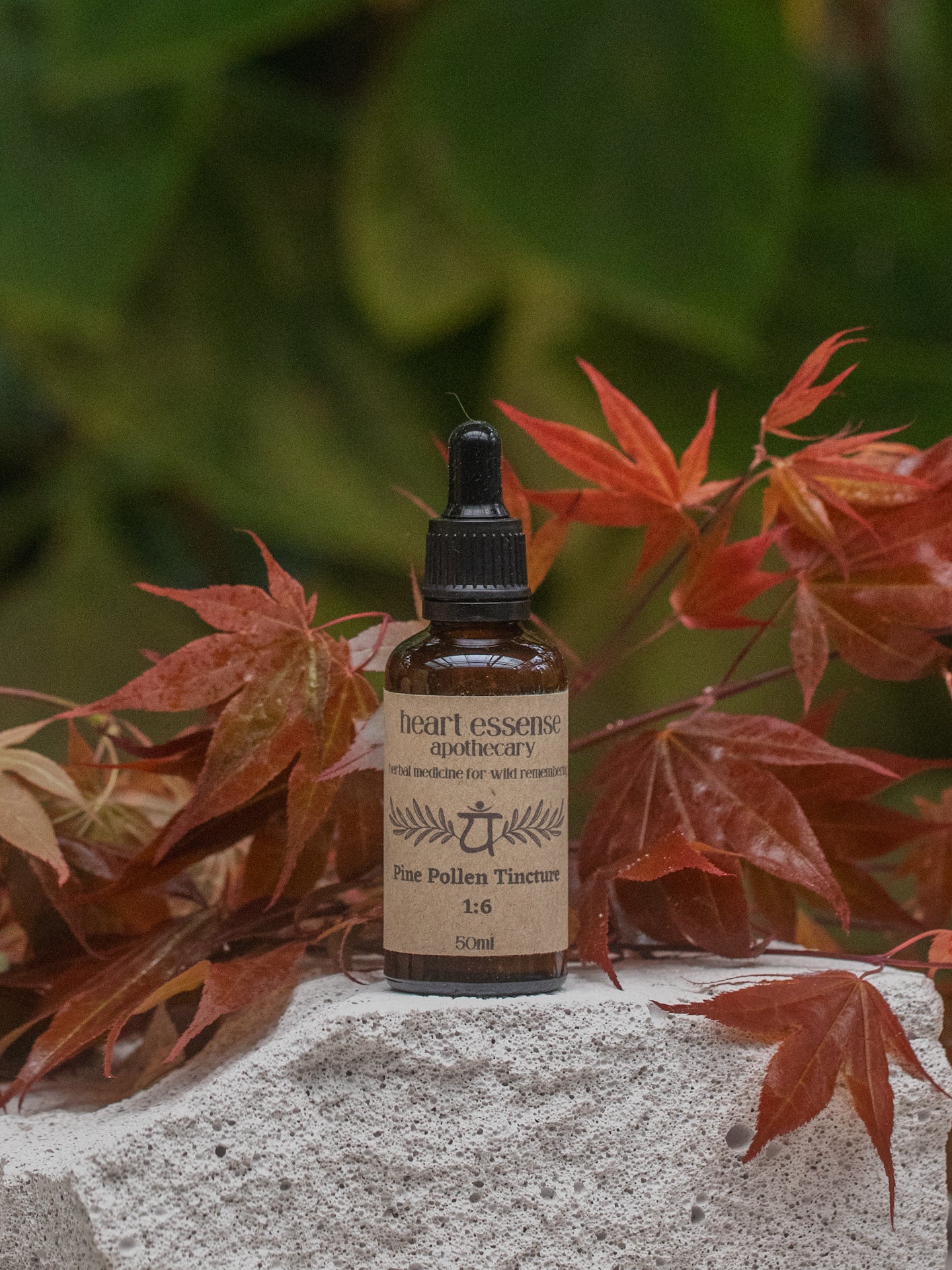 pine pollen tincture