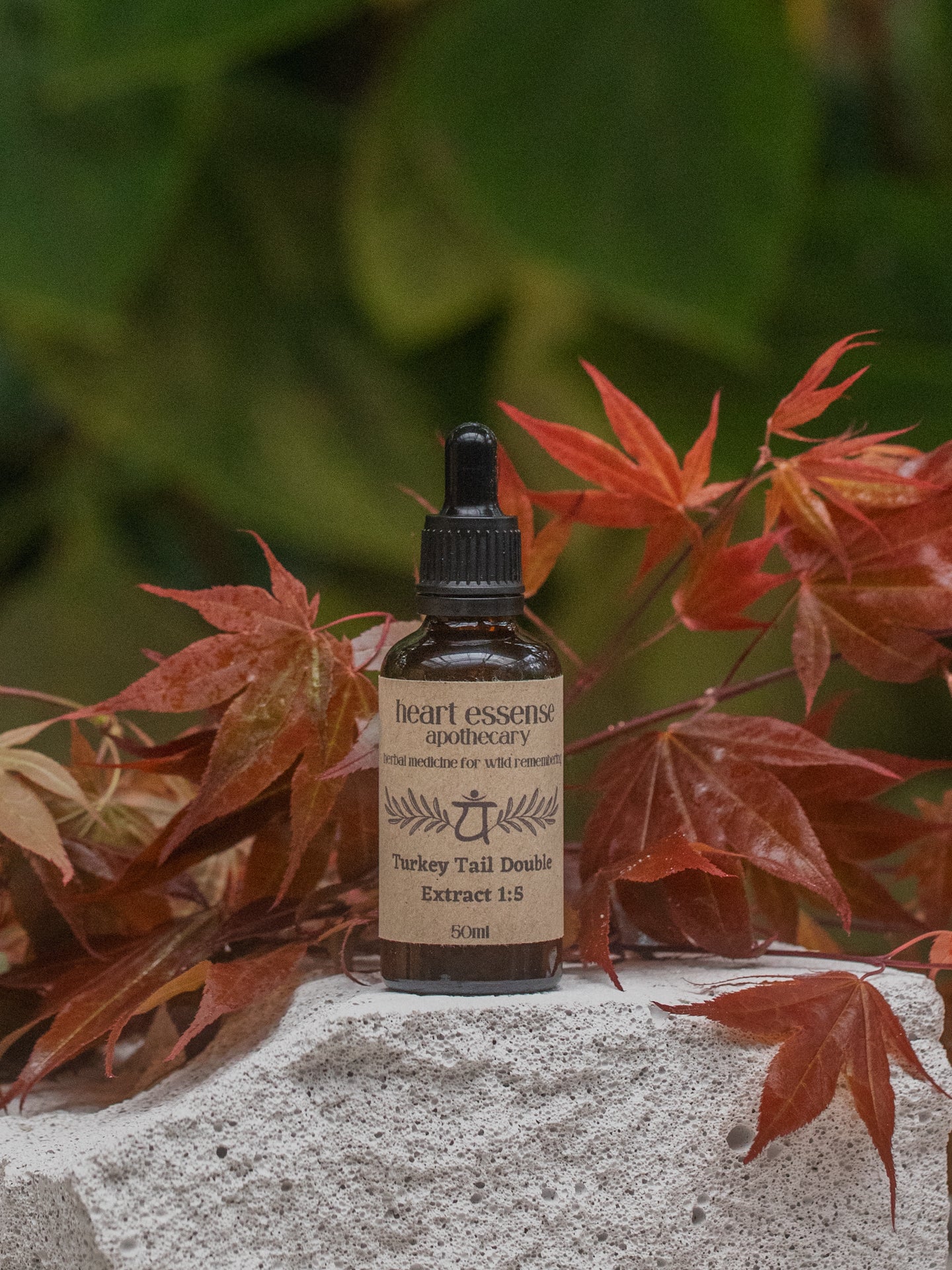 turkey tail double extract