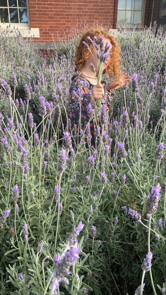 lavender and magnesium spray