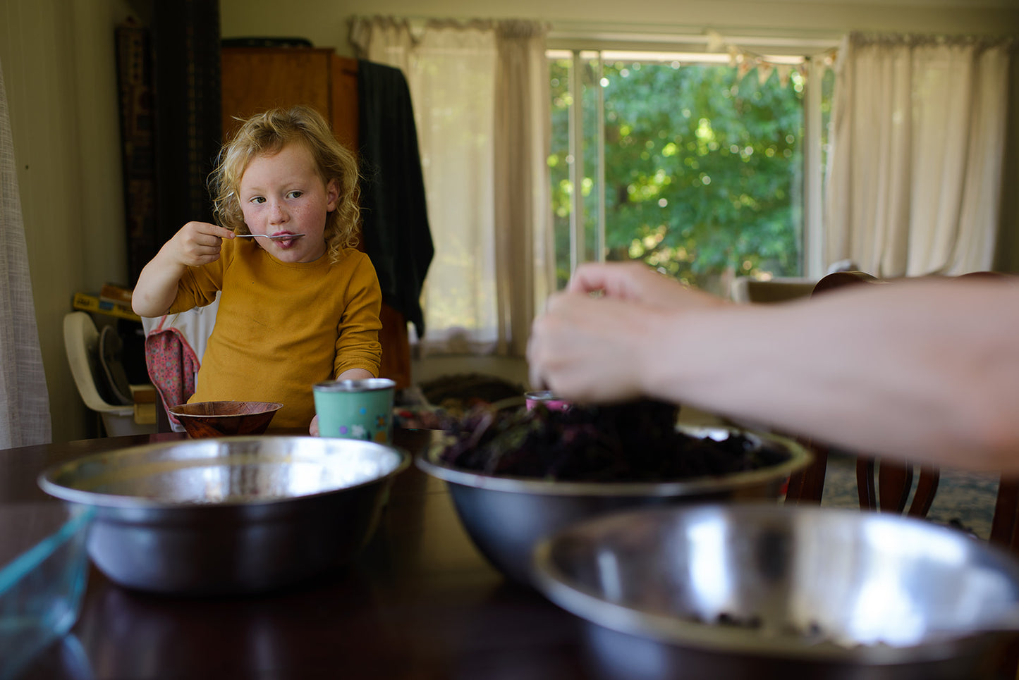 elderberry syrup 200ml (pre order late october)