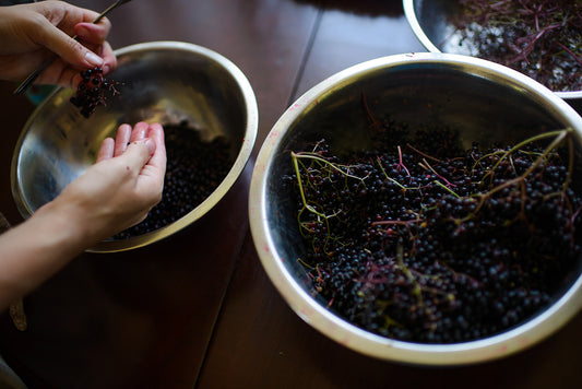 elderberry syrup 200ml (pre order late october)