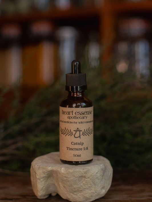 Catnip Tincture 50ml