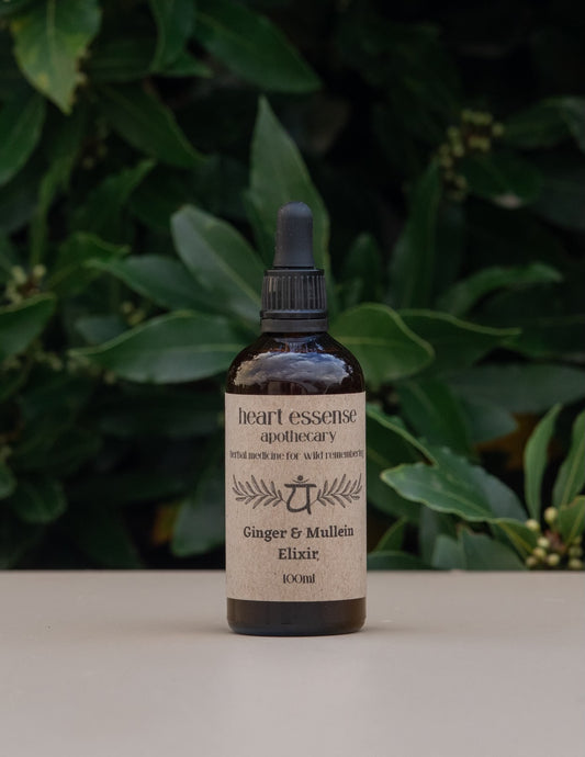 Ginger and Mullein Elixir 100ml