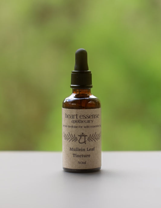 Mullein leaf tincture 50ml