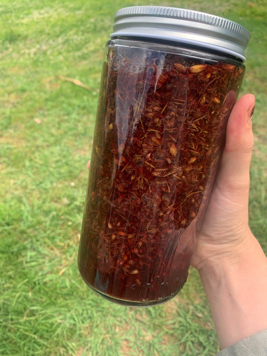 st. john’s wort infused oil