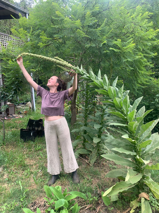 respira tincture blend