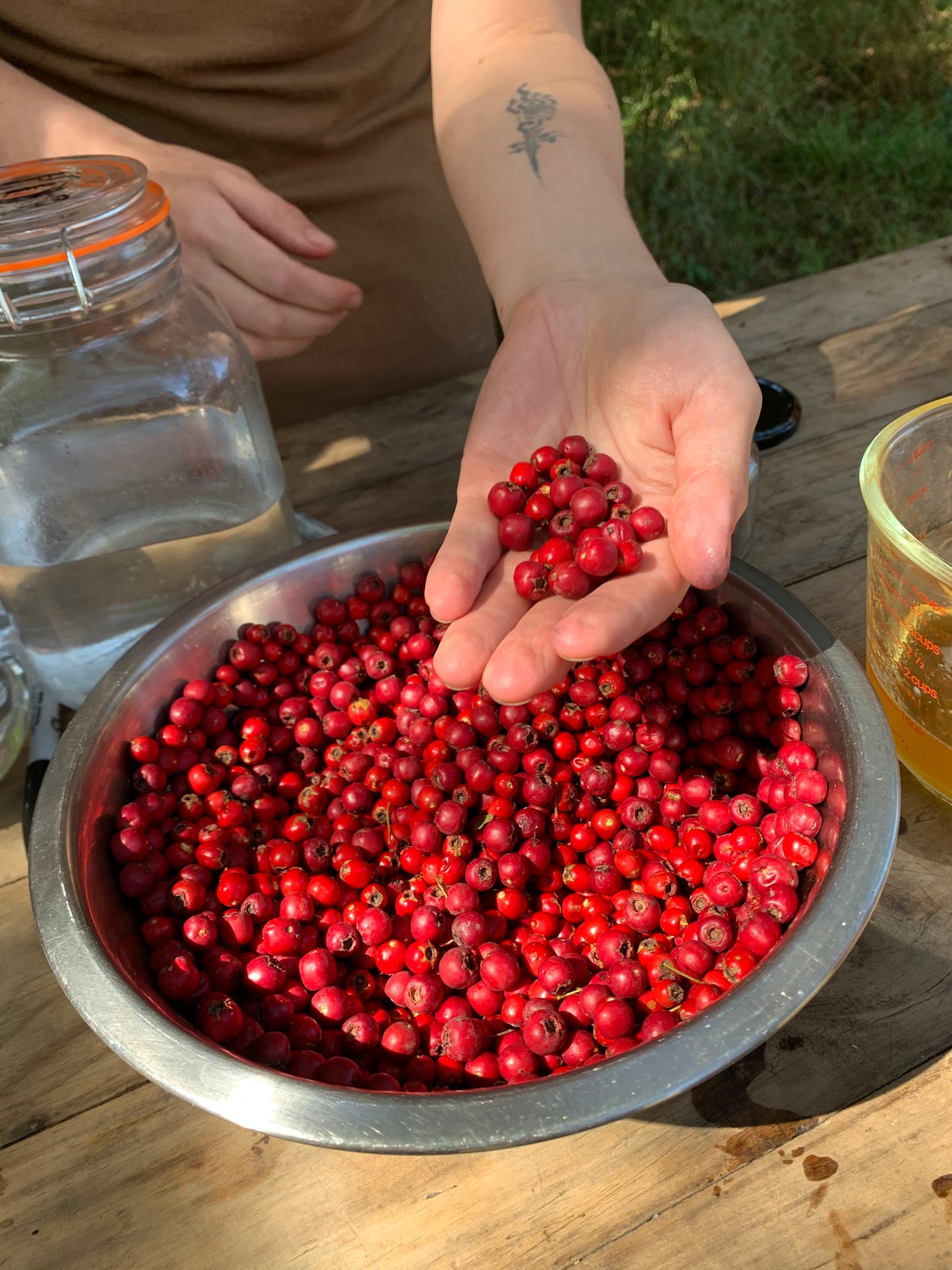 hawthorn berry elixir