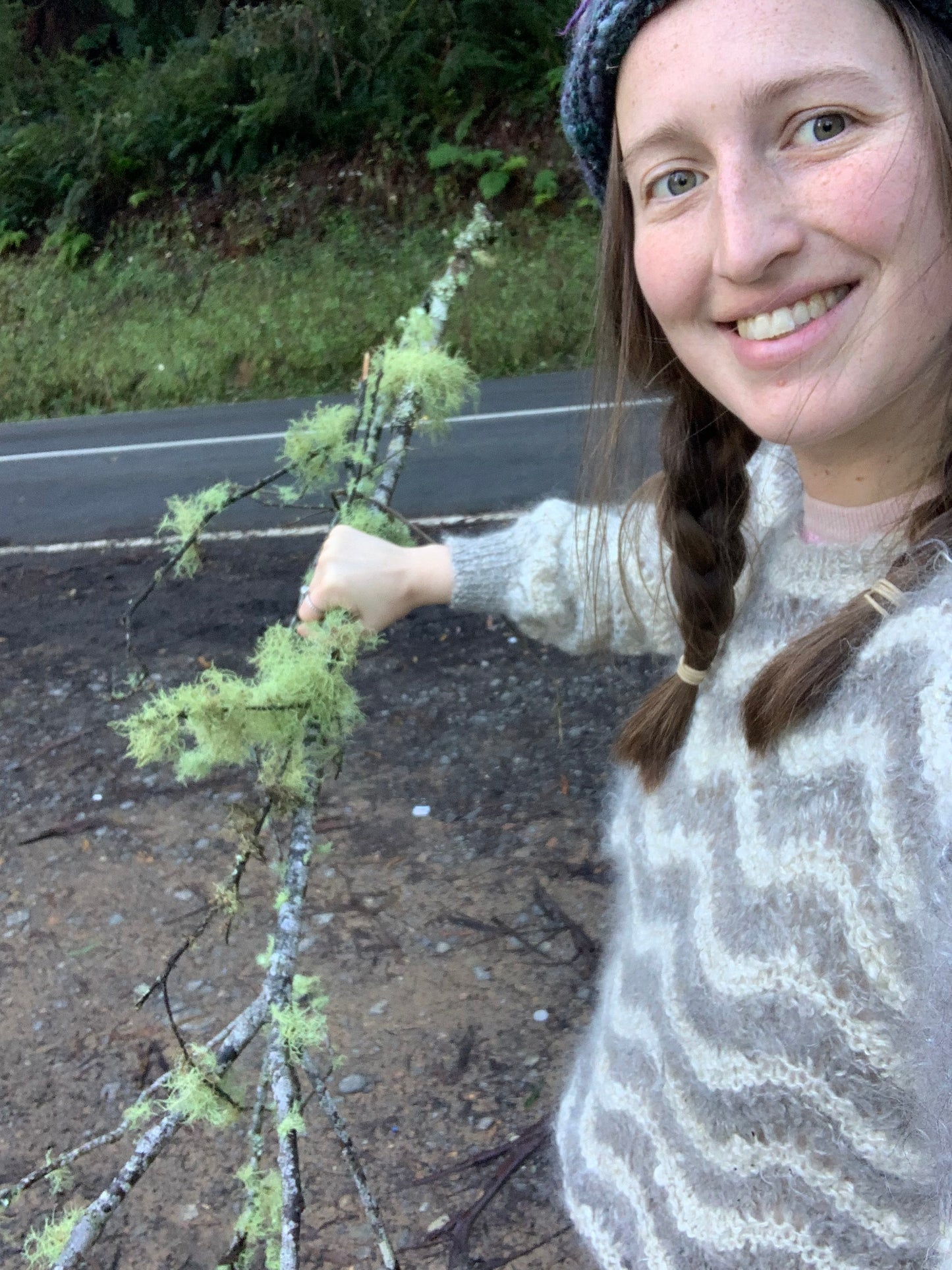 usnea double extract tincture