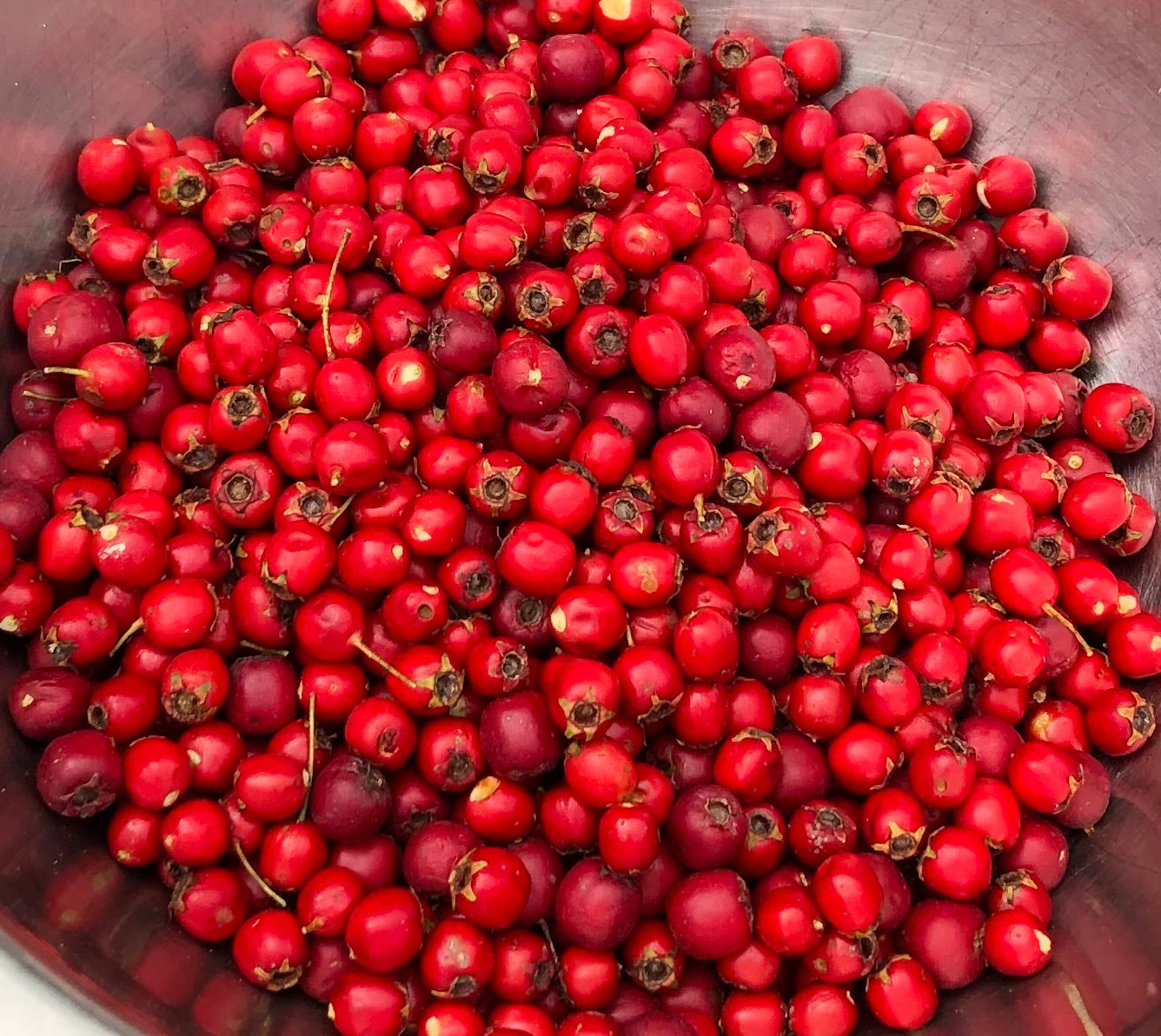 Autumn Medicine Making Circle - 3rd May 2025