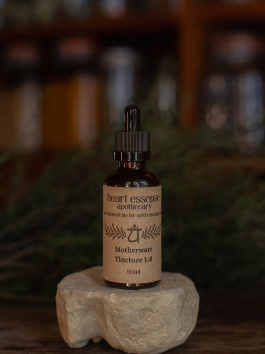 Motherwort Tincture