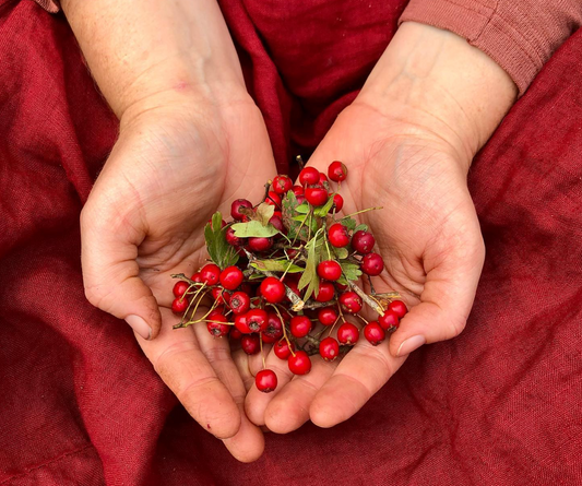 Autumn Medicine Making Circle - 3rd May 2025